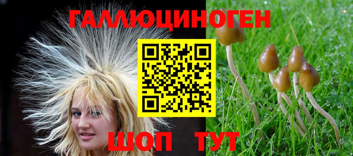 Псилоцибиновые грибы Psilocybe  Вход с VPN  Урай 