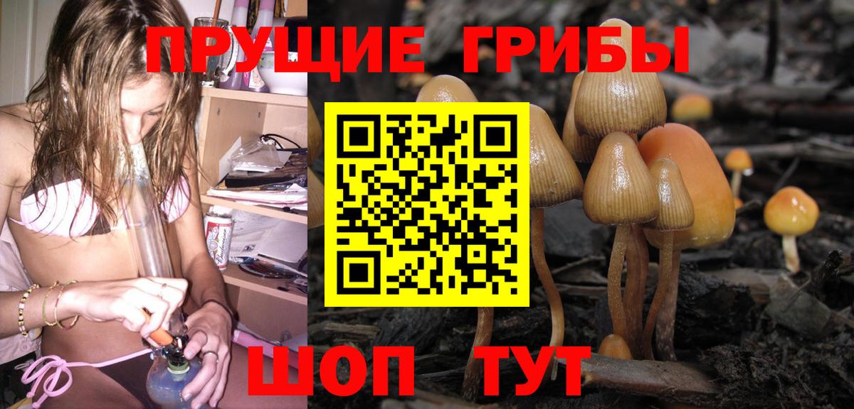Галлюциногенные грибы ЛСД Урай